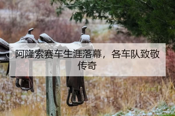 阿隆索赛车生涯落幕，各车队致敬传奇